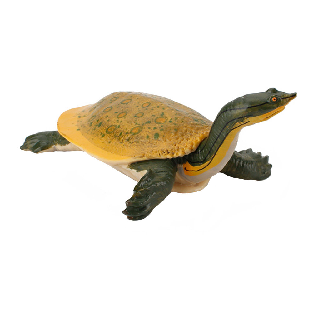 Kids Education Learning - 1Pcs Realistic Simulation Freshwater Turtle Educational