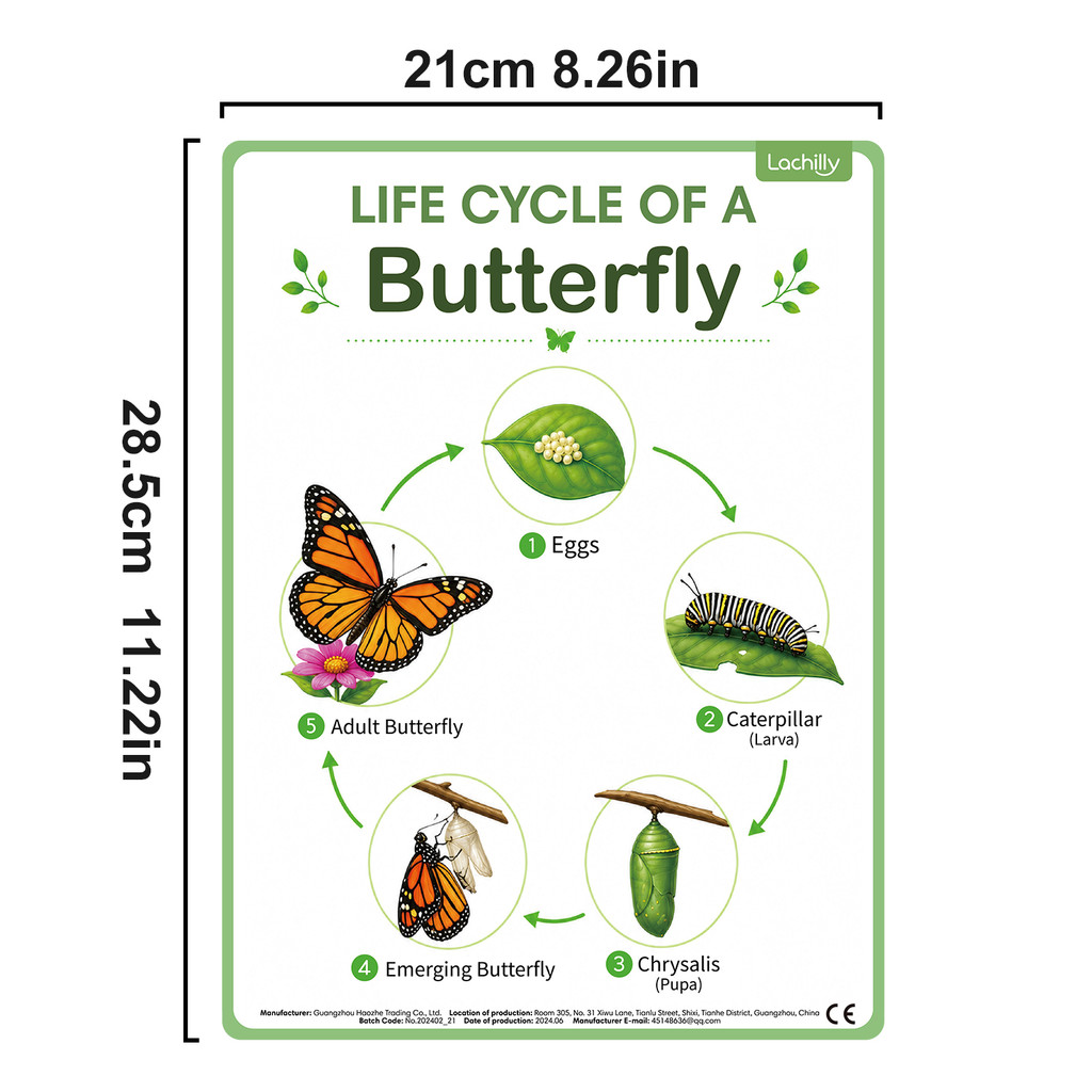 8Pcs Nature Life Cycle Educati - Kids Educational Posters recension och pris
