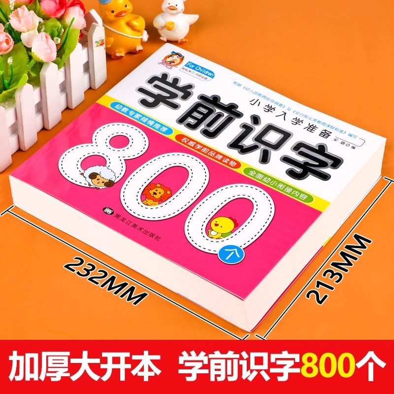 Preschool Literacy: 800 Chines - Kids Education Learning recension och pris